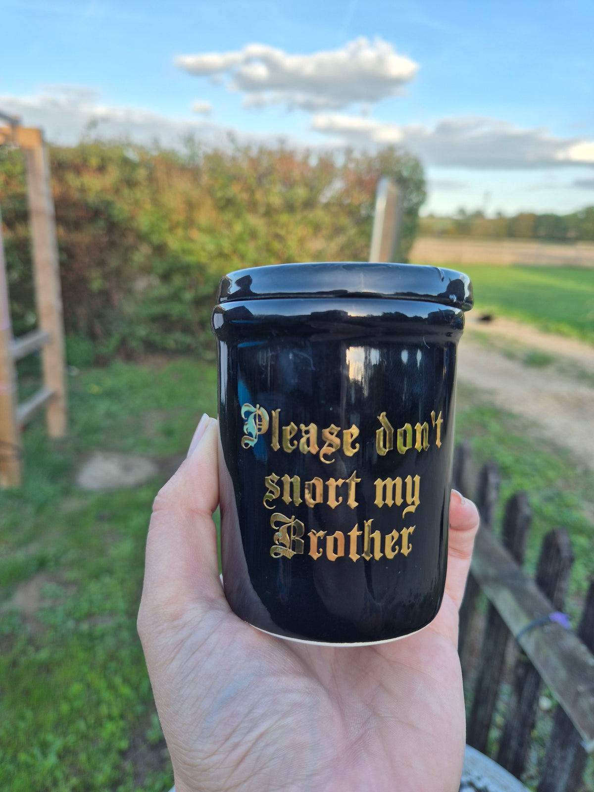 Please dont snort my Brother urn