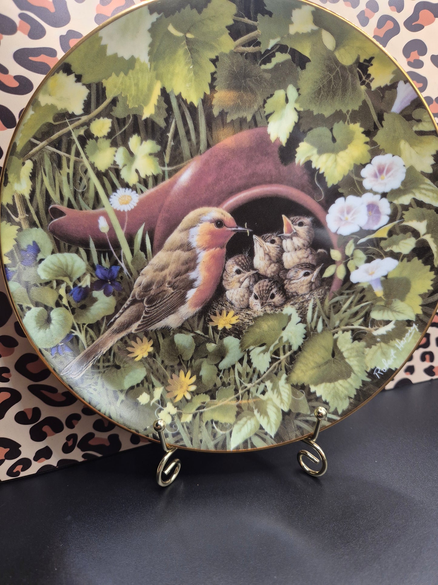 Robins plate