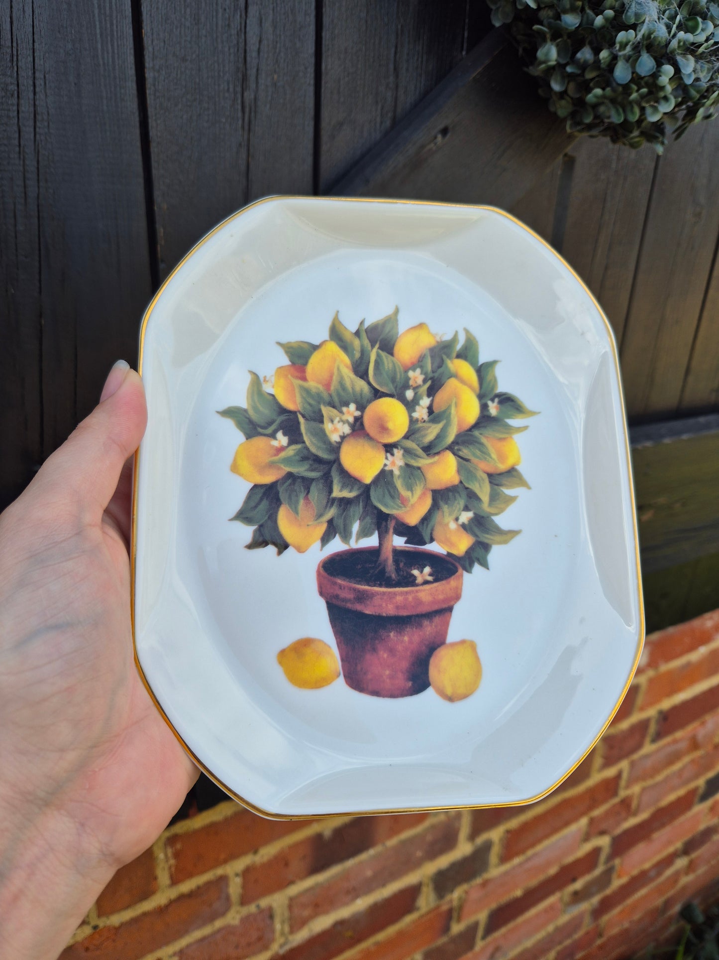 Lemon tree trinket dish