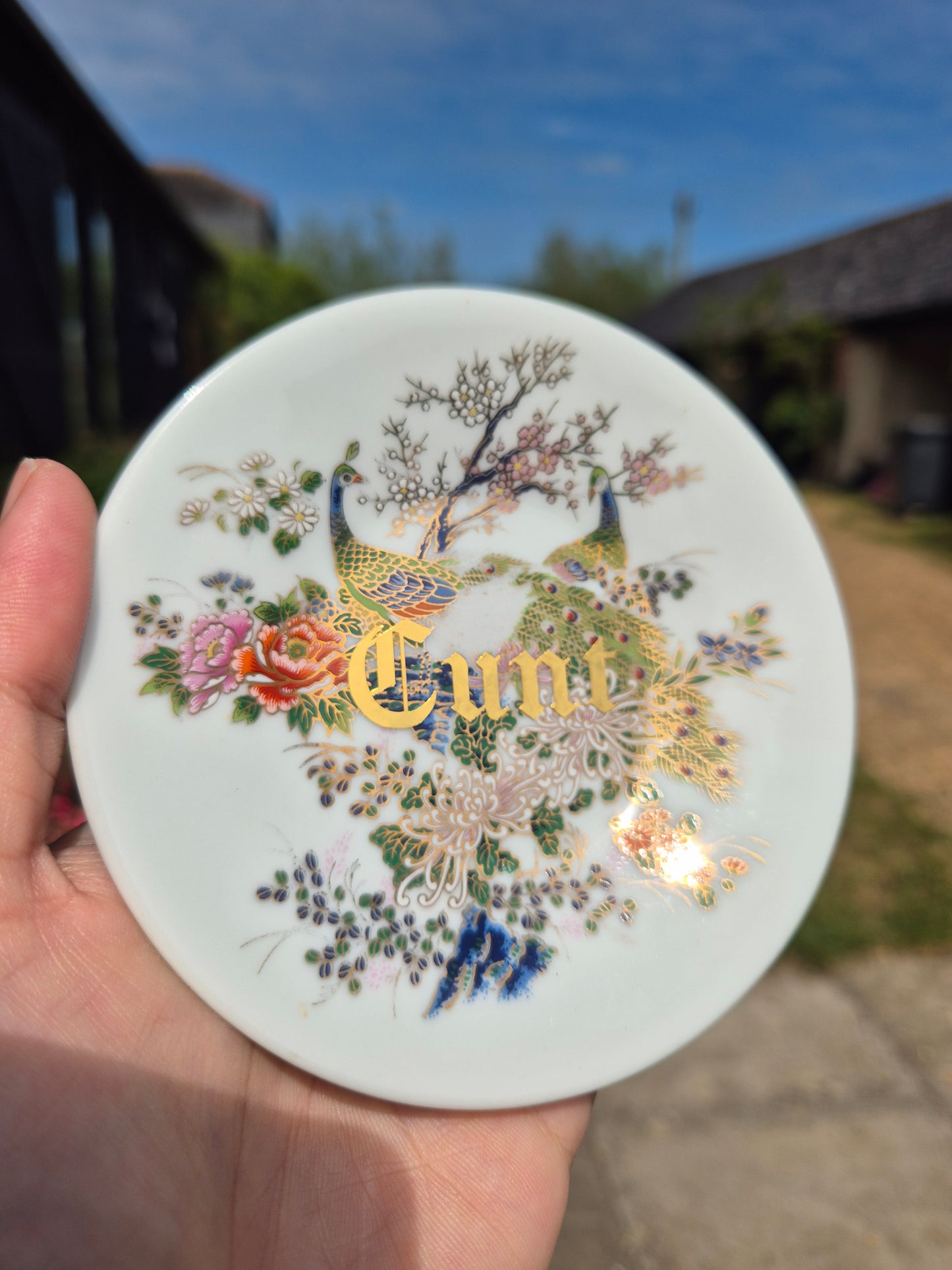 Cunt mini plates