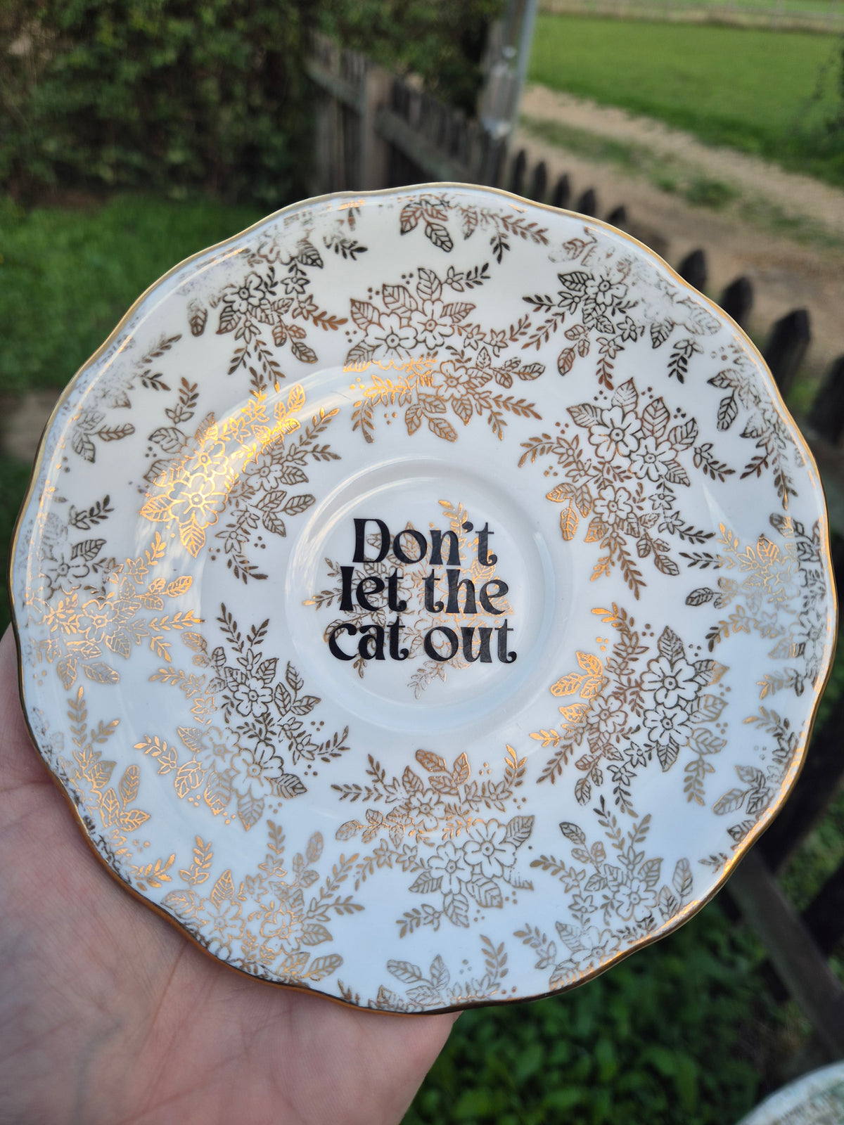 Dont let the cat out saucer
