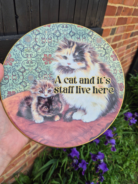 A cat and its staff live here