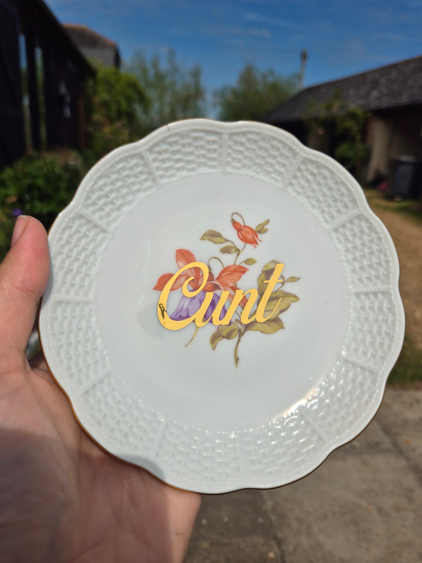 Cunt mini plates