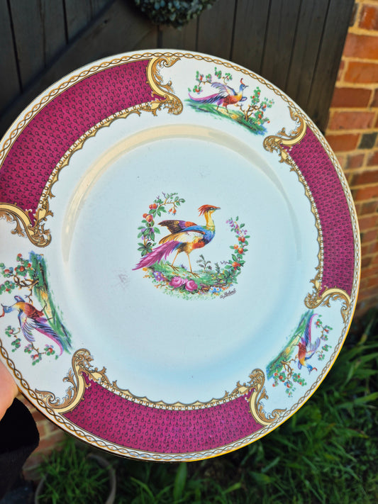 Exotic bird large plate