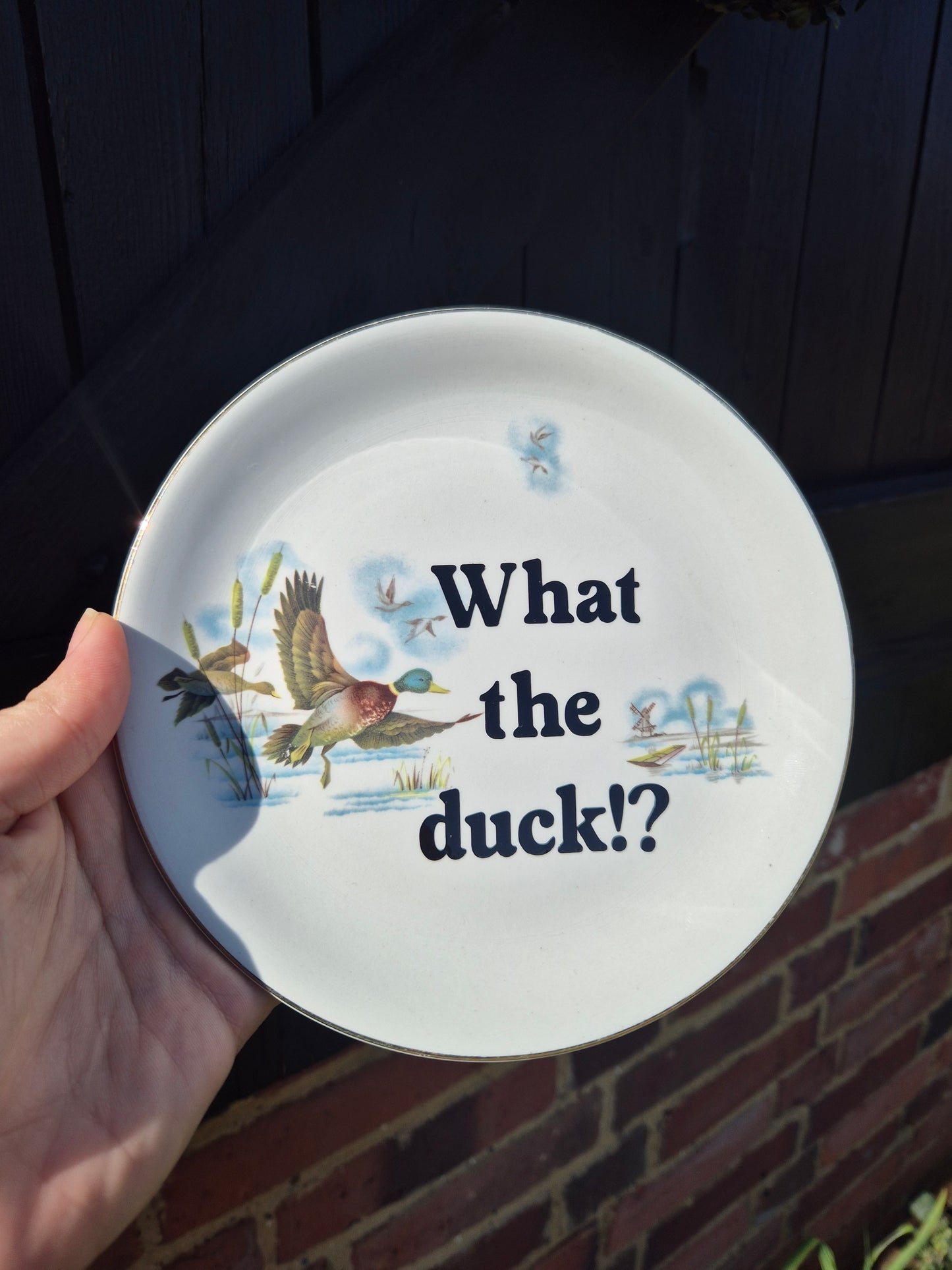 What the duck!? Small plate