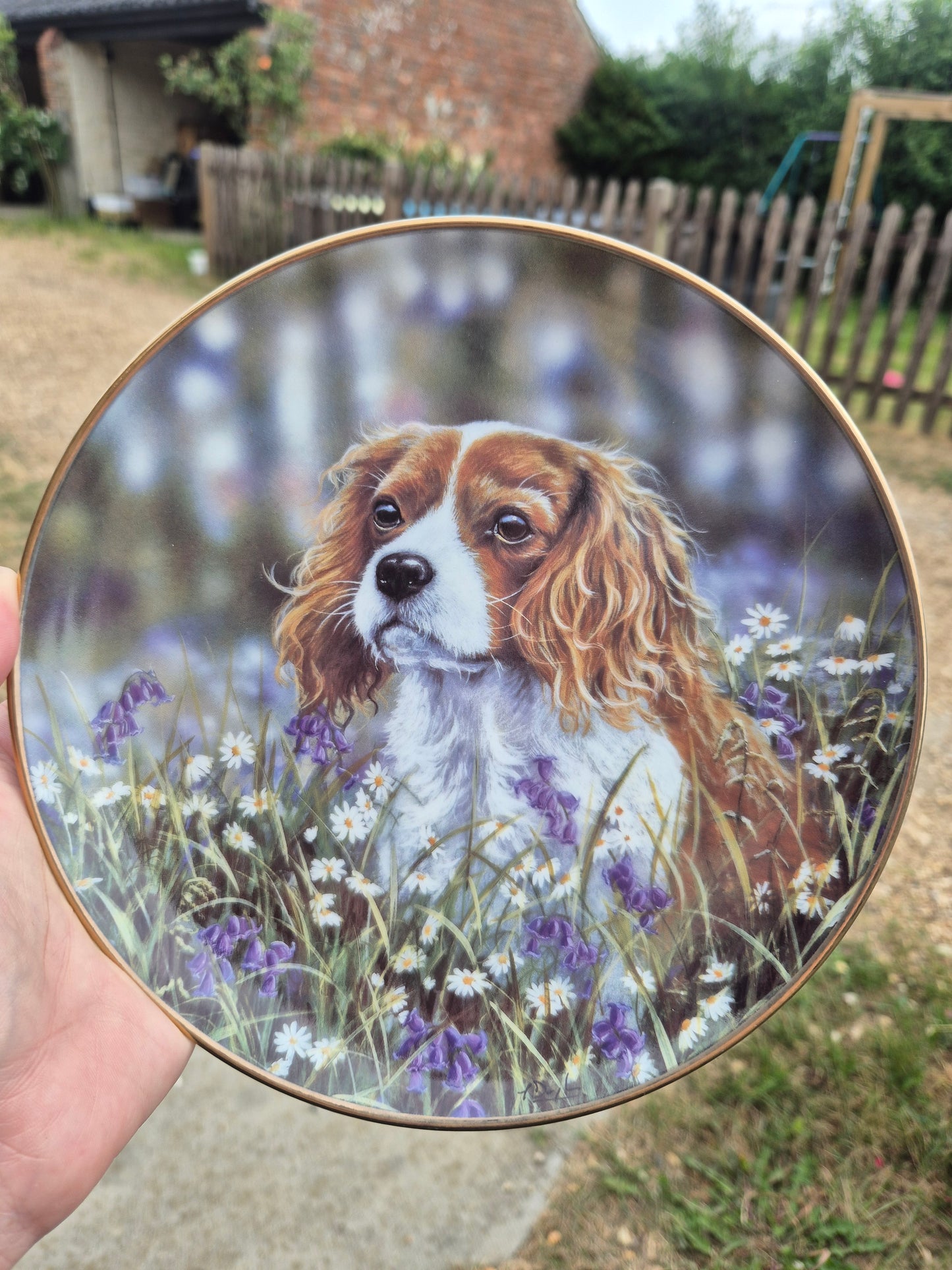 King Charles Cavalier Spaniel plate 2