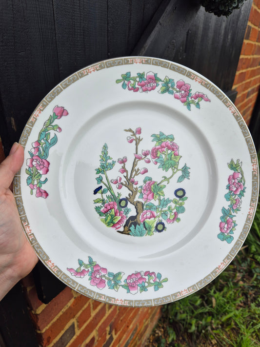 Large Indian tree plate
