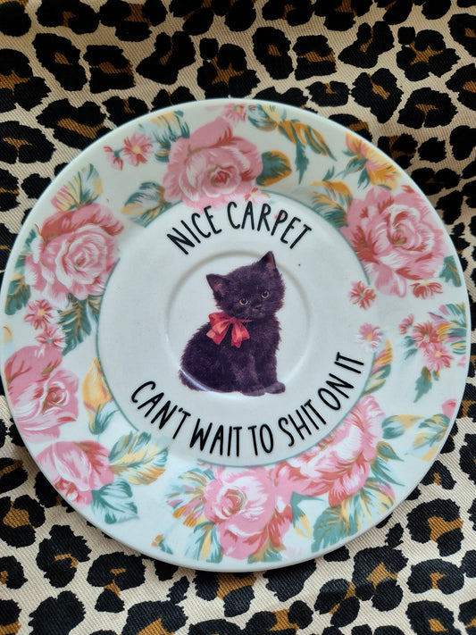 Nice carpet. Cant wait to shit on it saucer