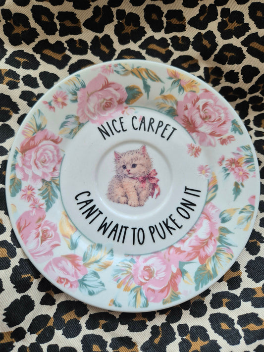 Nice carpet cant wait to puke on it saucer