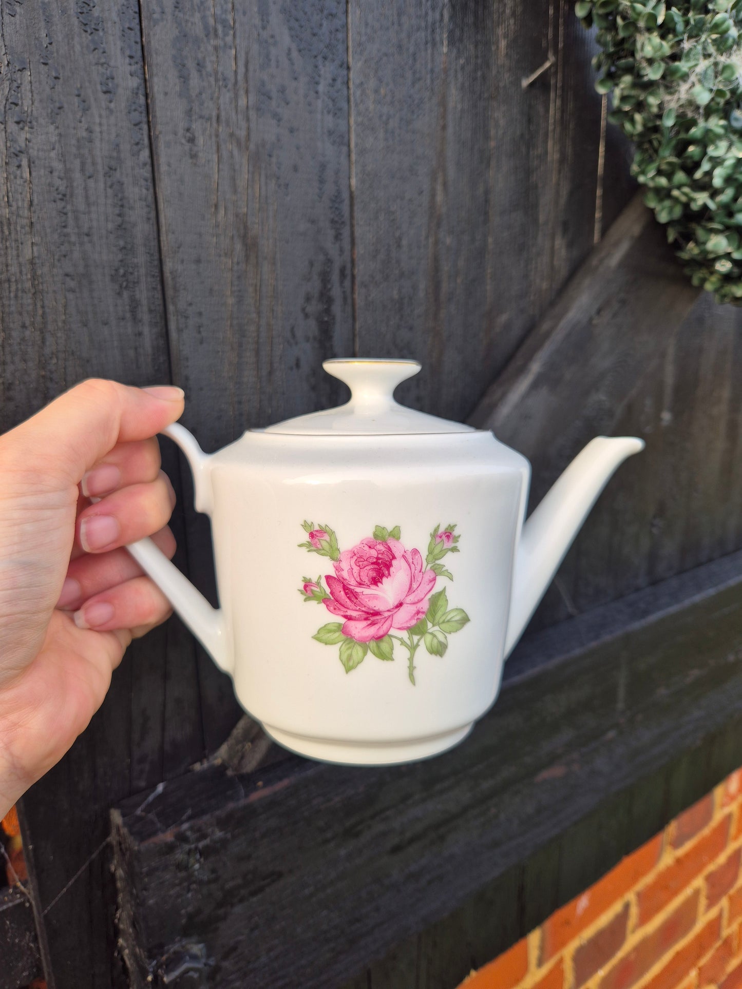 Small white teapot with pink rose