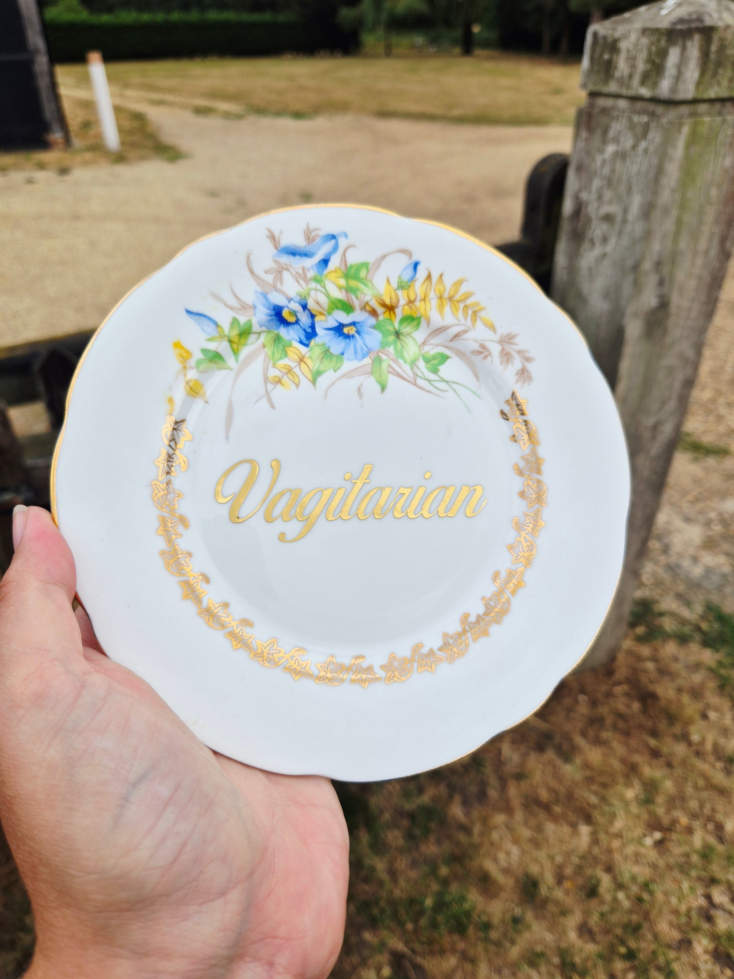 Vagitarian side plate