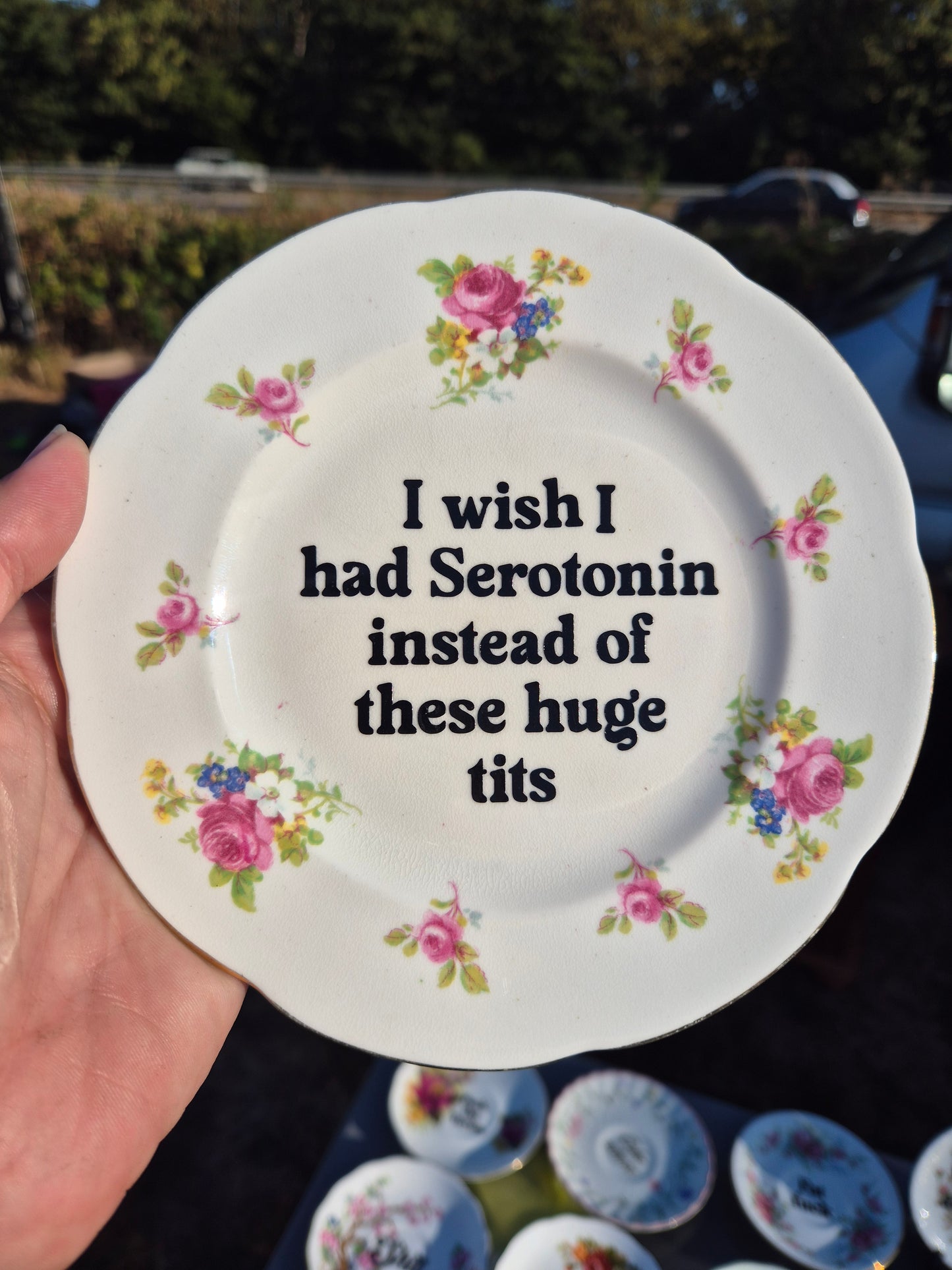 I wish I had serotonin instead of these huge tits side plate