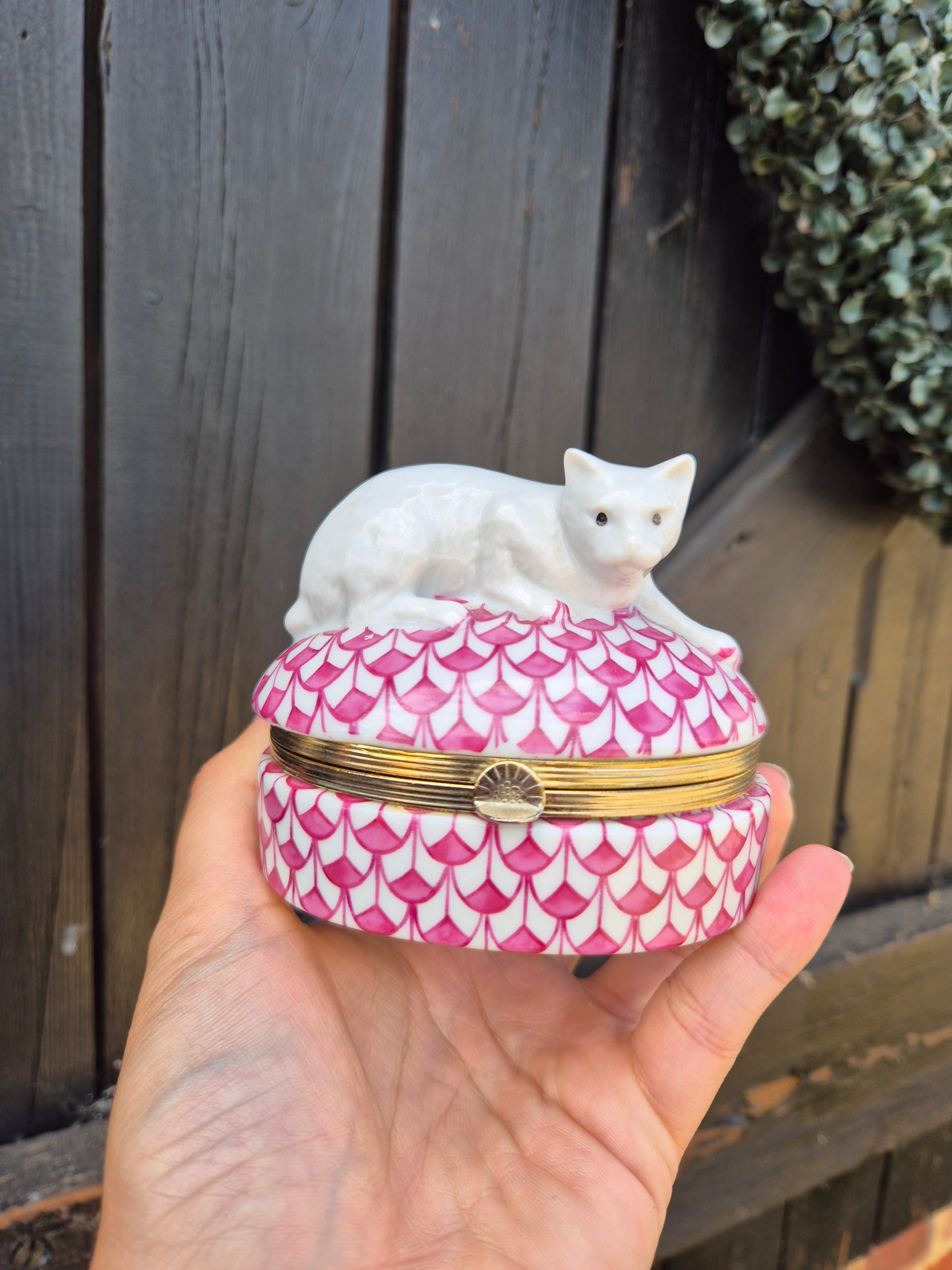 Close your pussy cat trinket