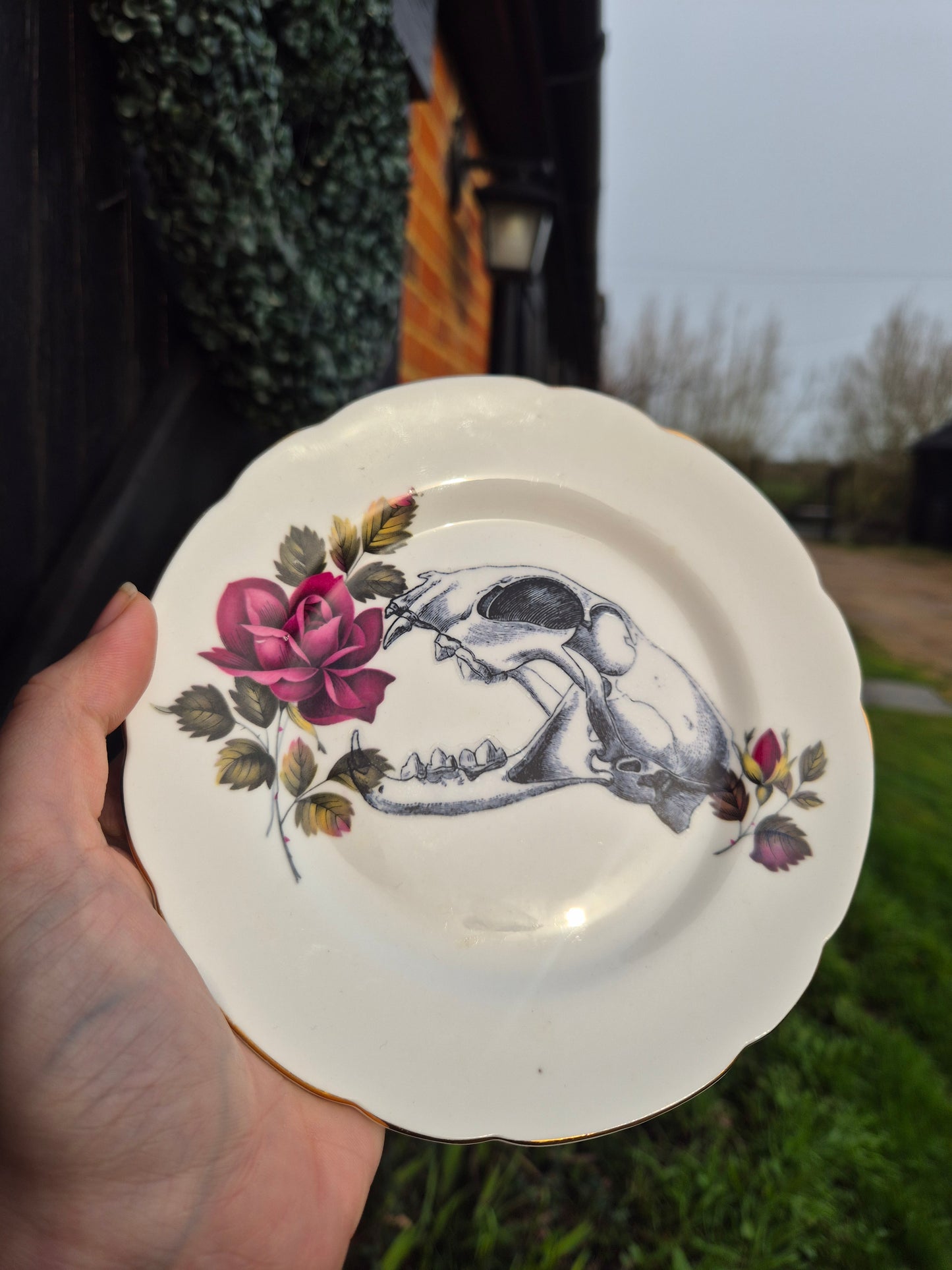 Skull plate