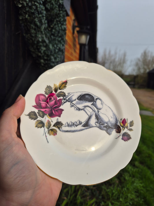 Skull plate