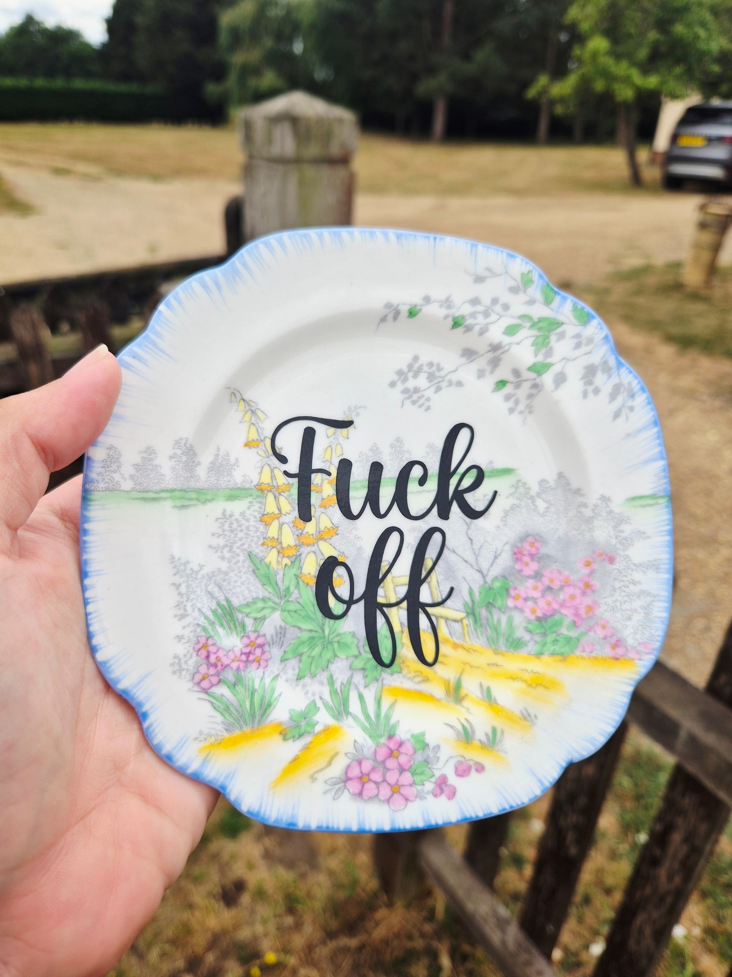 Fuck off side plate