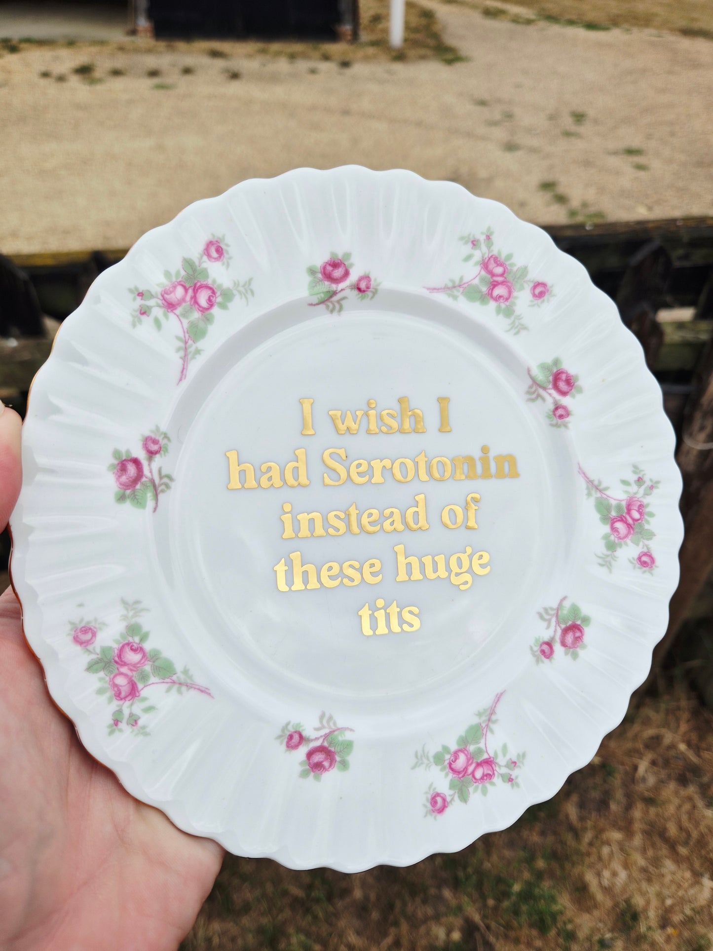 I wish I had serotonin instead of these huge tits side plate