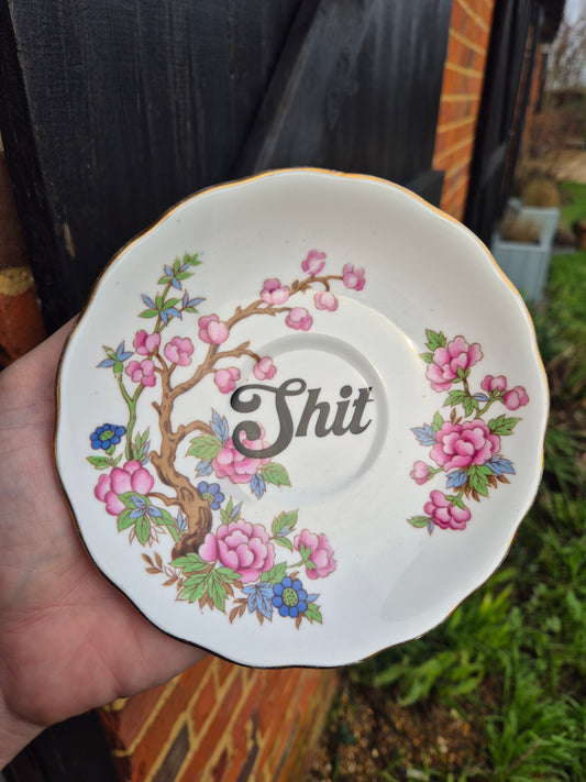 Shit saucer