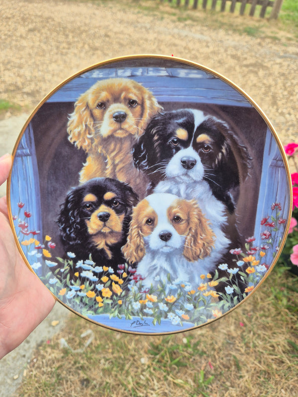 4 King Charles Cavalier Spaniels plate 2