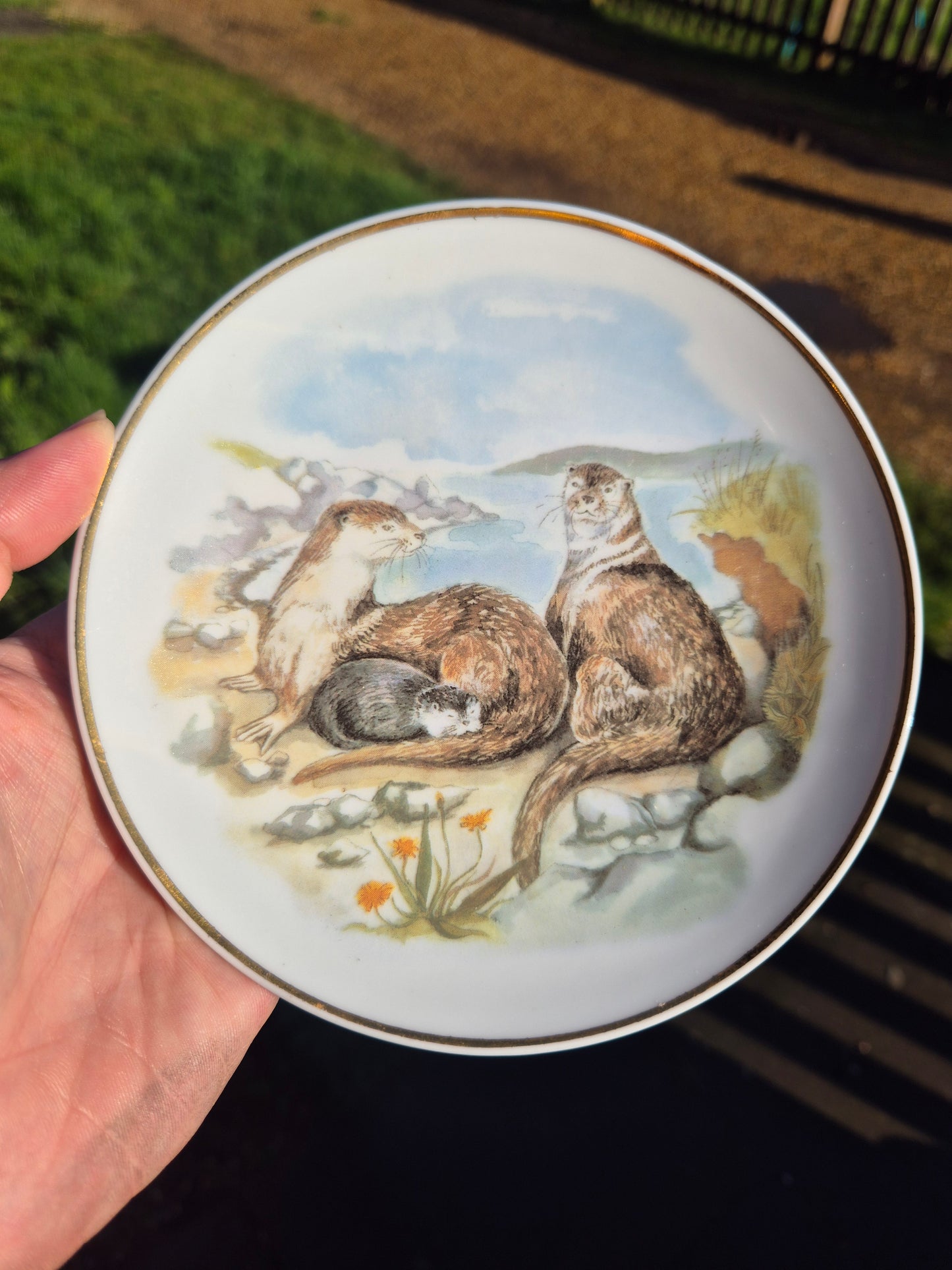 Small otters plate