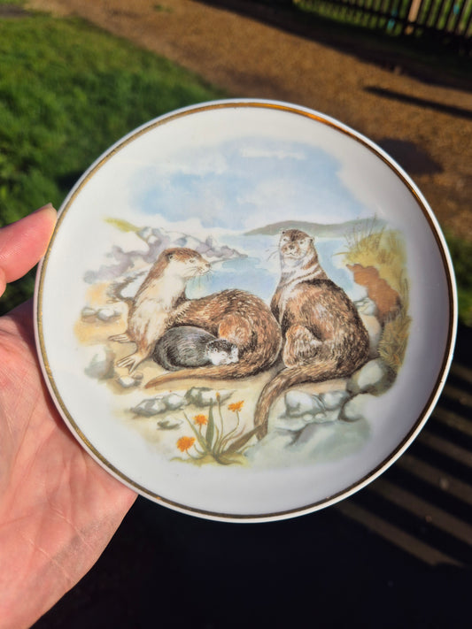 Small otters plate