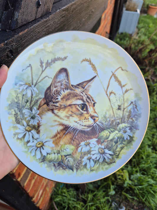 Tabby cat plate