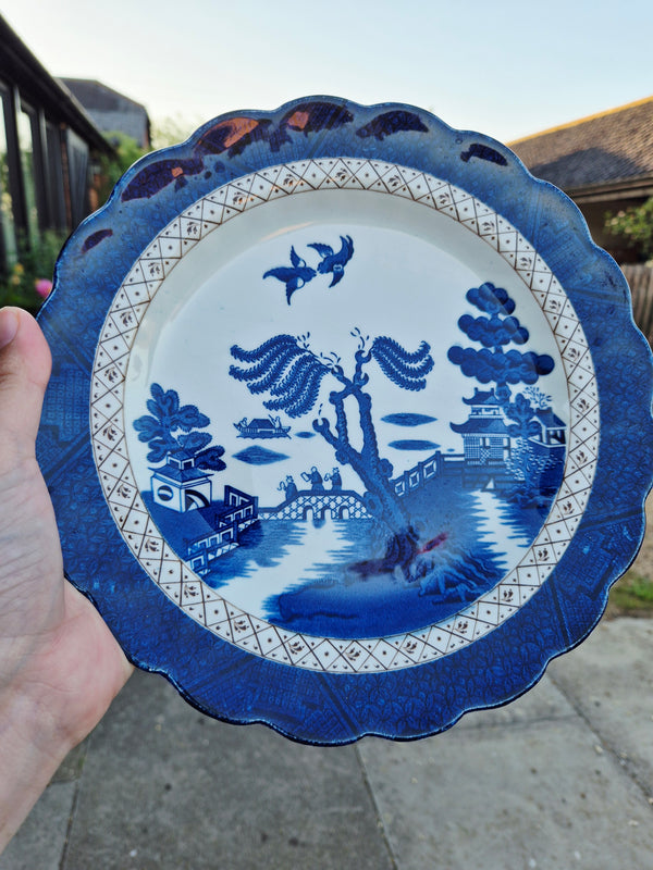 Blue and white scalloped plate
