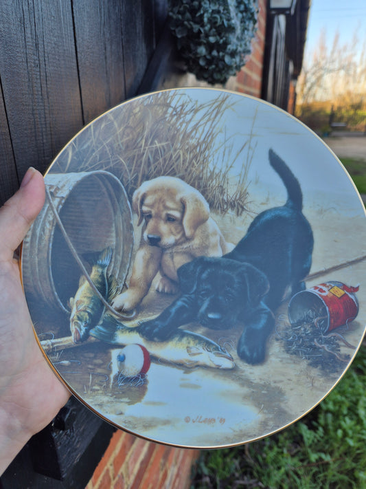 Fishing puppies plate