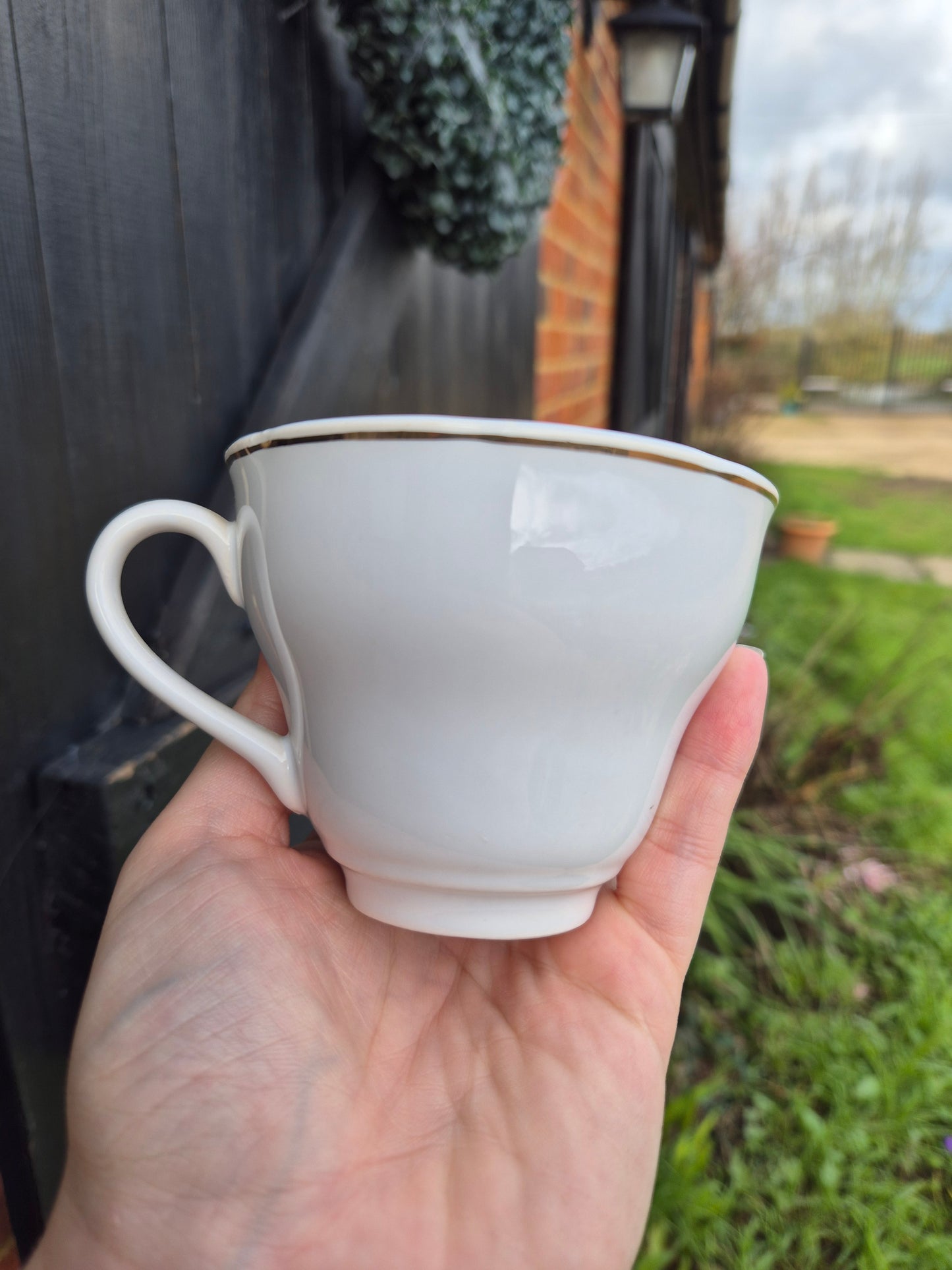 Charles and Diana teacup
