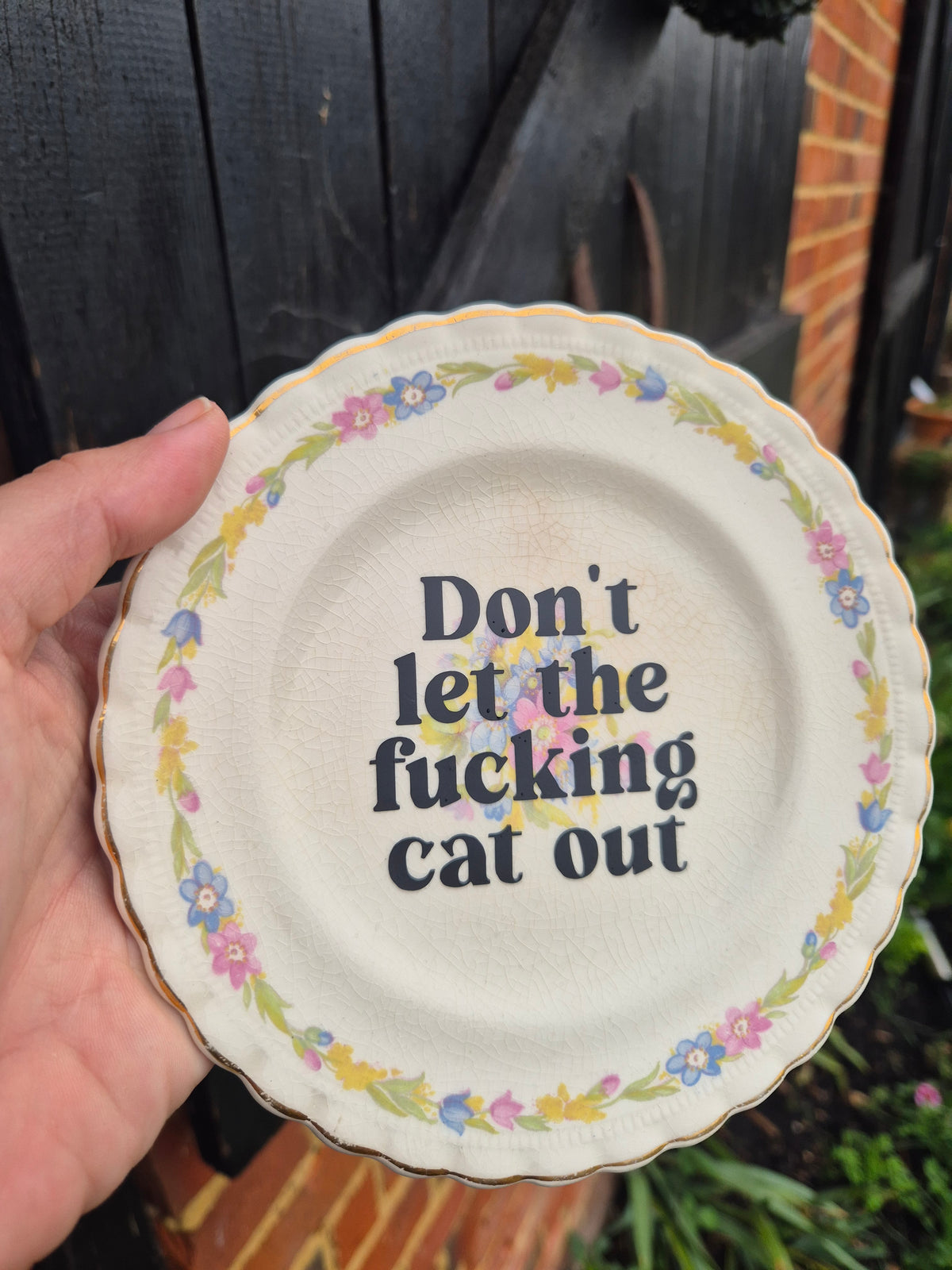 Dont let the fucking cat out side plate