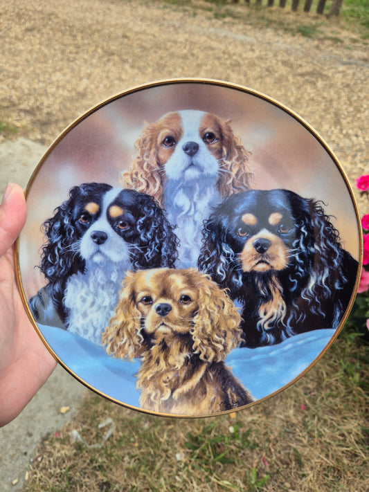 4 King Charles Cavalier Spaniels plate