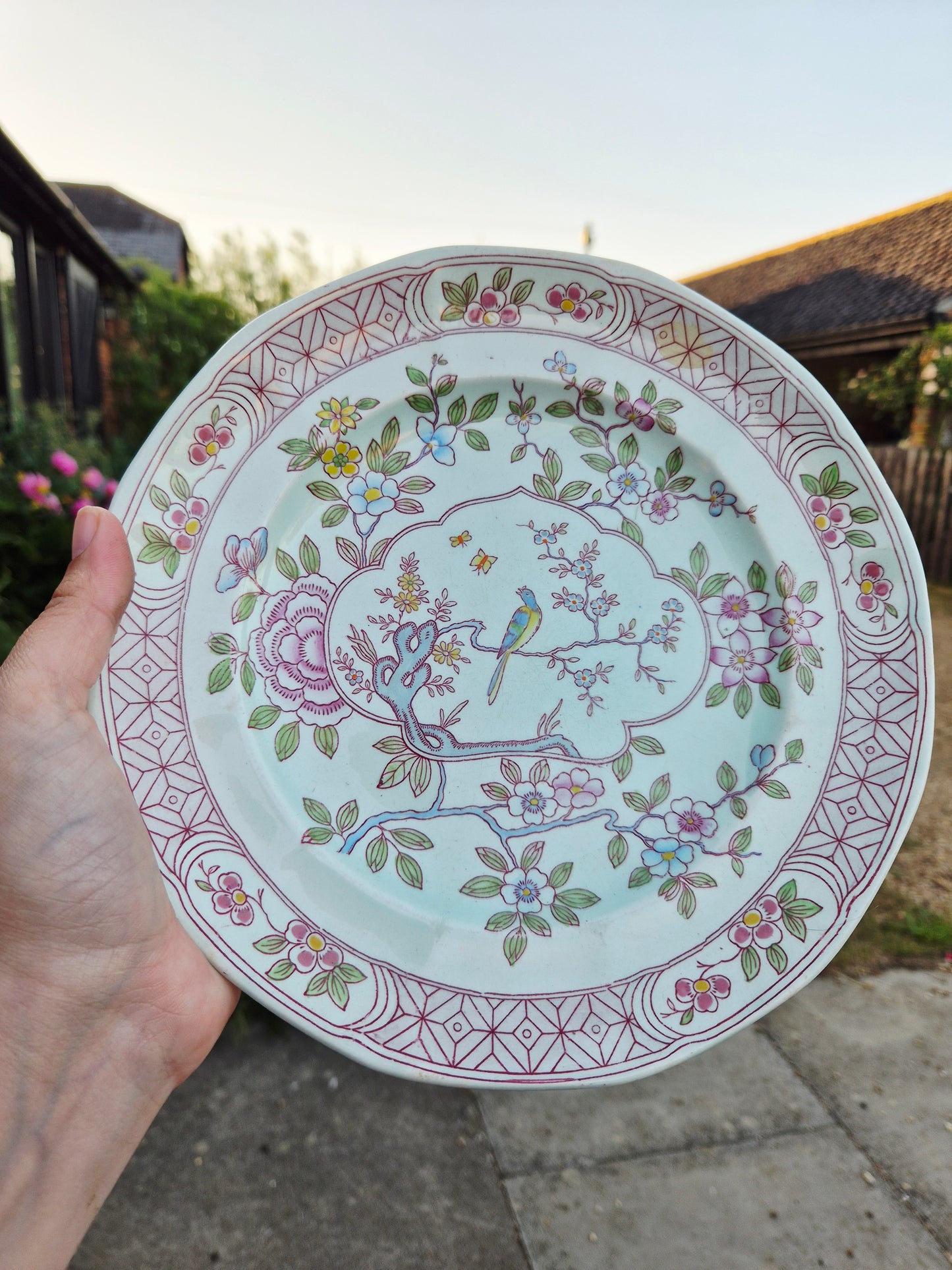 Pretty pink patterned plate