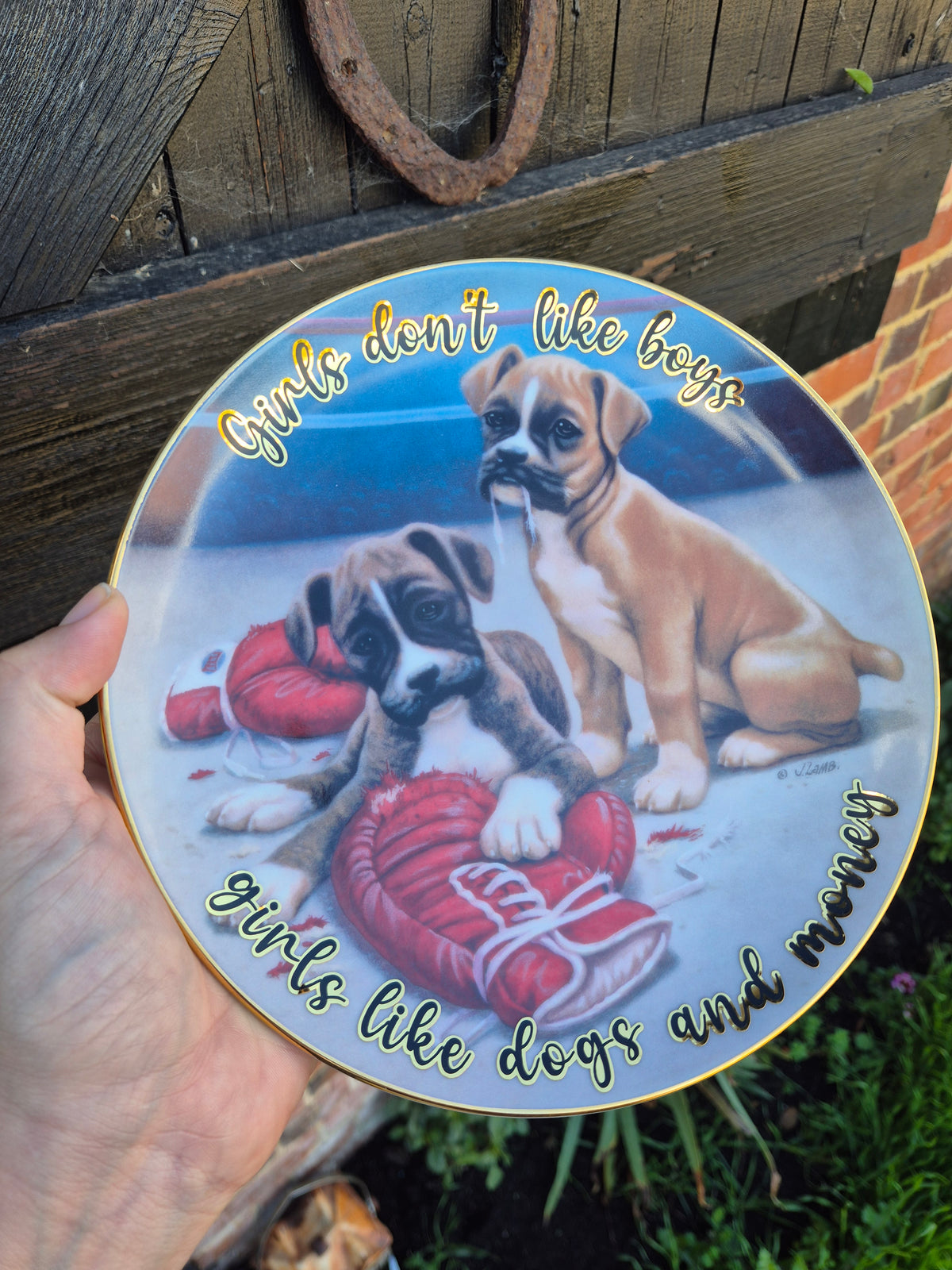 Girls dont like boys girls like dogs and money Boxer plate