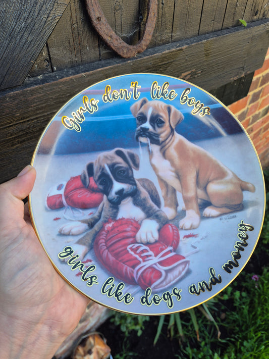 Girls dont like boys girls like dogs and money Boxer plate