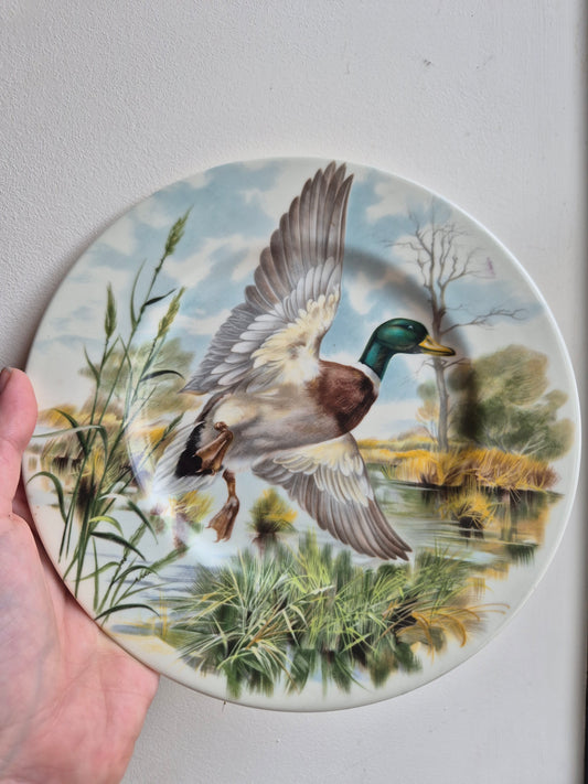 Duck plate