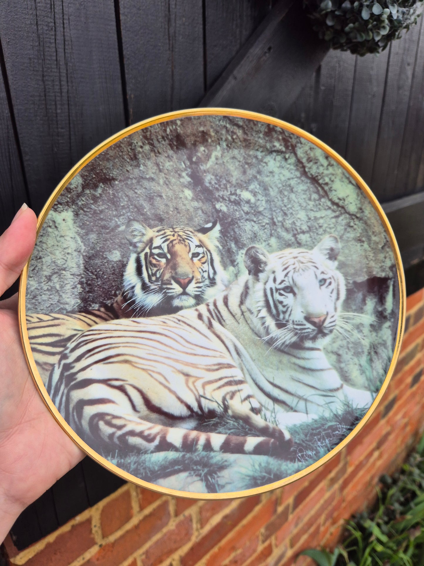 Tiger pair plate