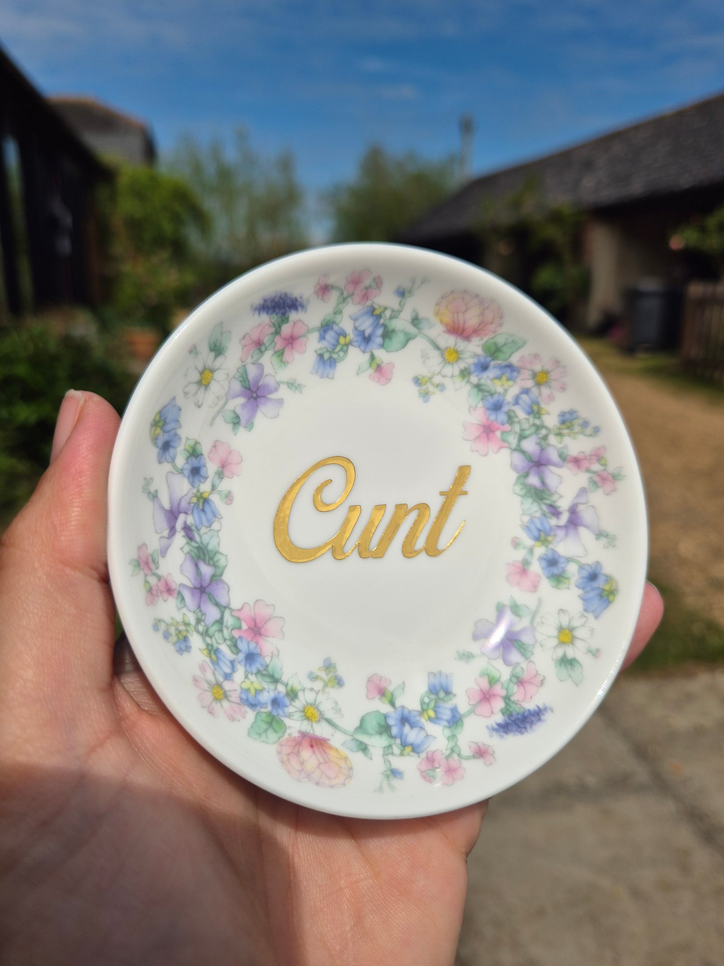 Cunt mini plates