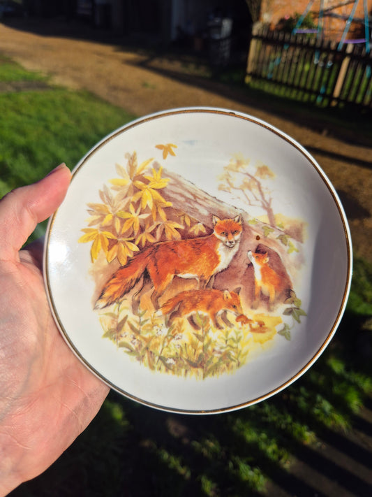 Small foxes plate