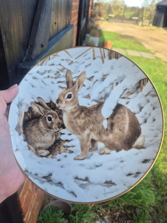 Rabbits in the snow plate