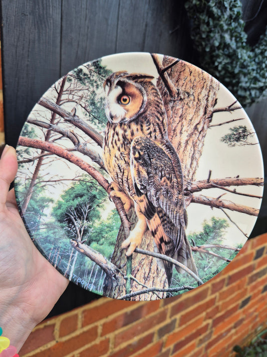 Owl plate