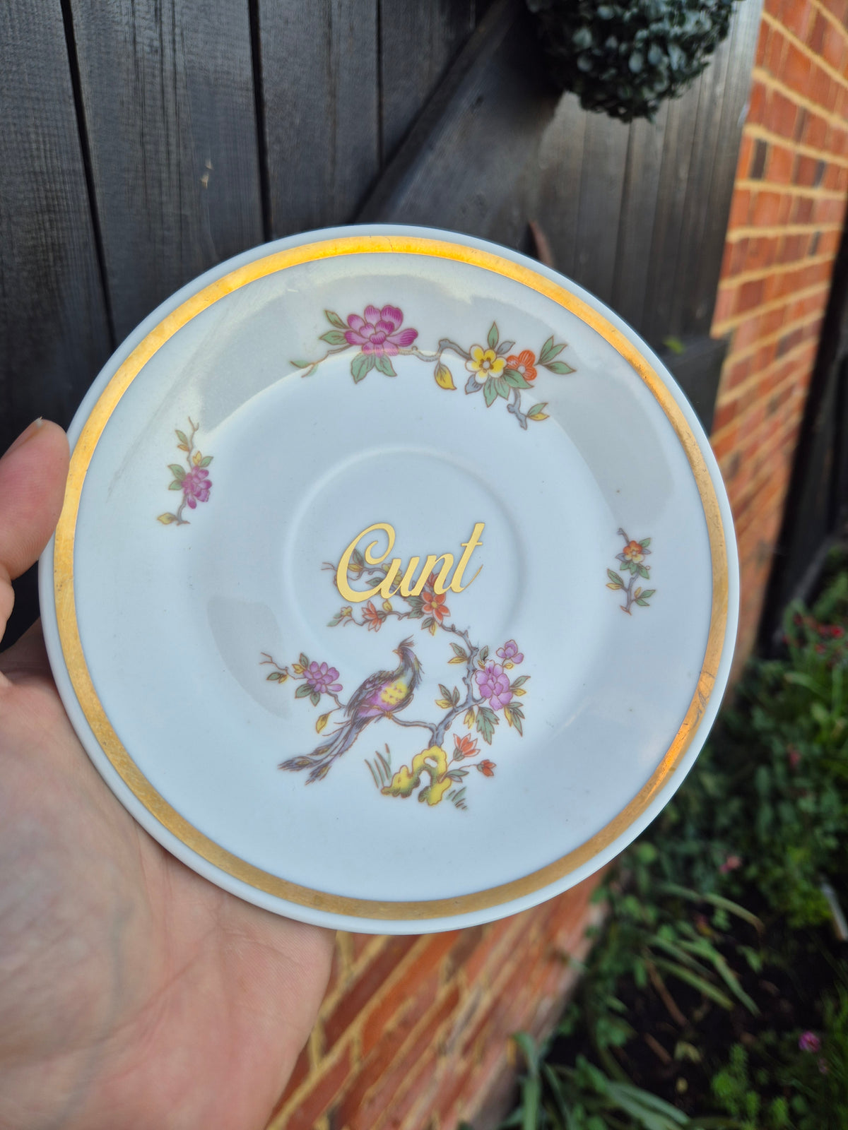 Cunt saucer