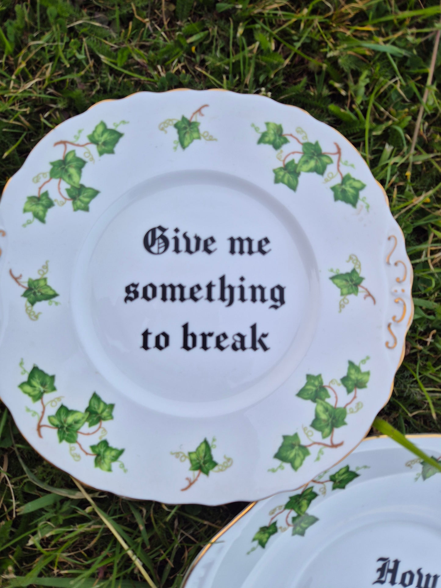 Limp Bizkit pair large ivy plates