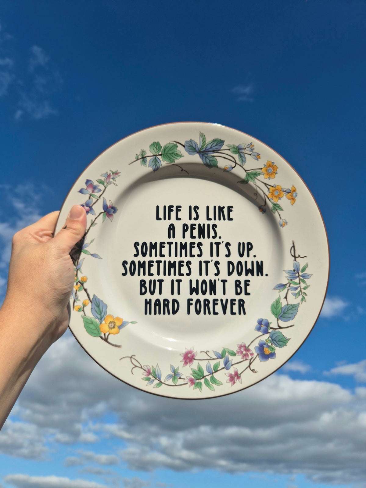 Life is like a penis large plate