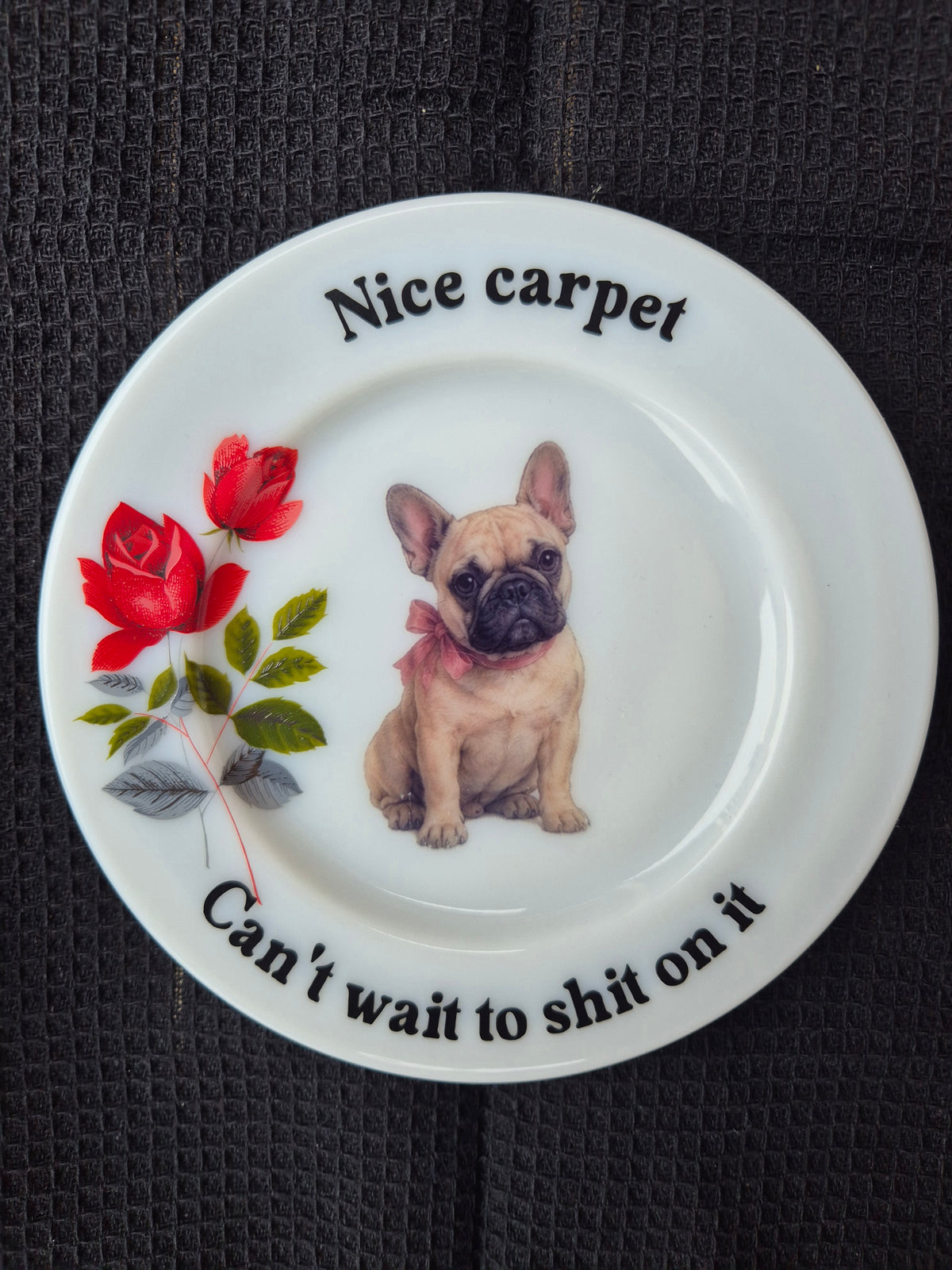 Nice carpet. Cant wait to shit on it. Frenchie side plate