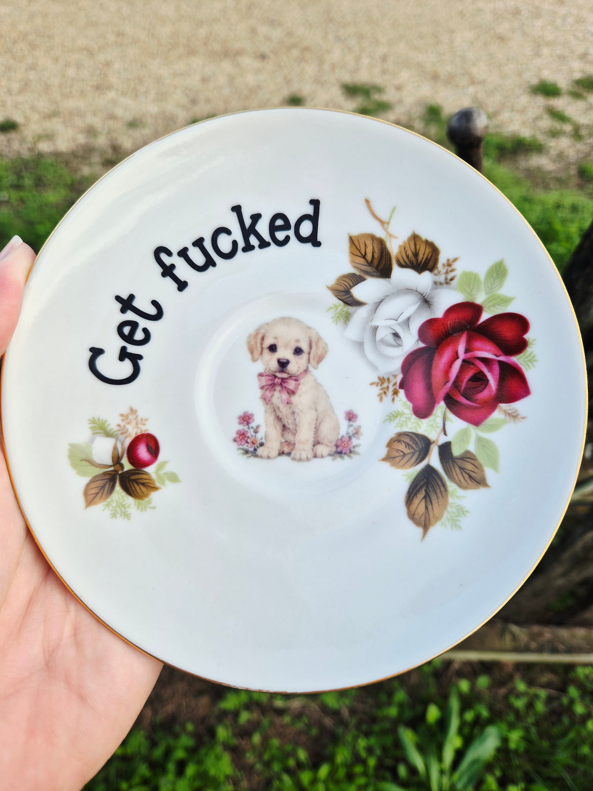 Get fucked labrador saucer