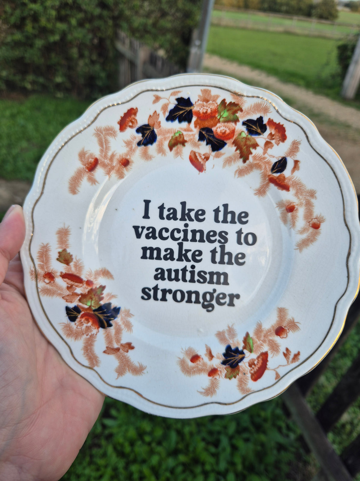 I take the vaccines to make the autism stronger side plate