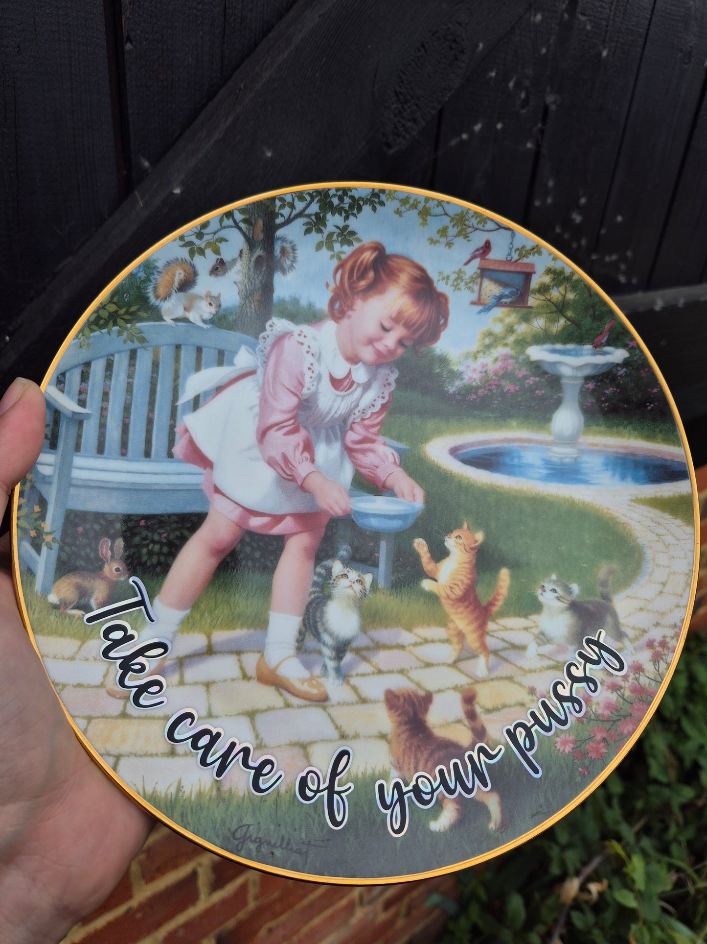 Take care of your pussy plate
