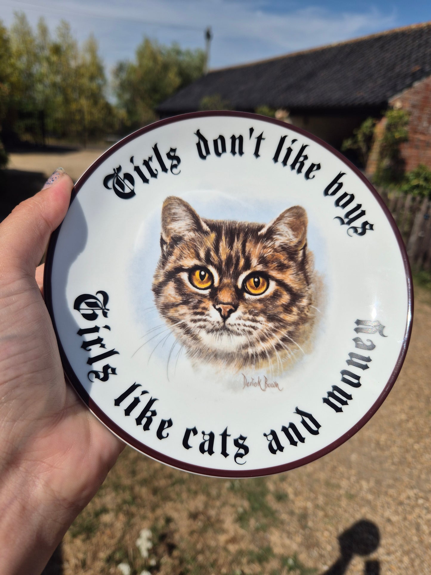Girls dont like boys, girls like cats and money plate