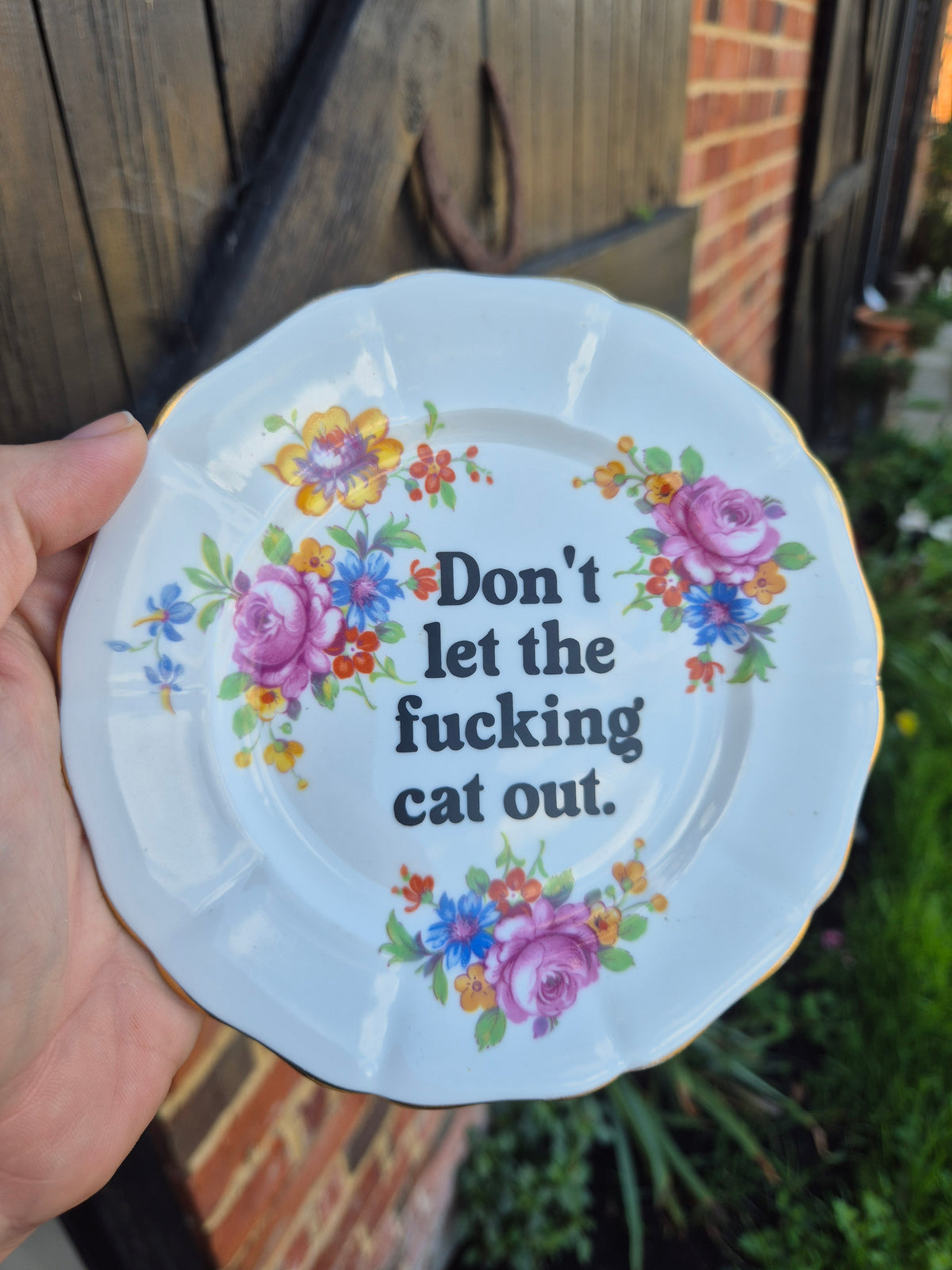 Dont let the fucking cat out side plate