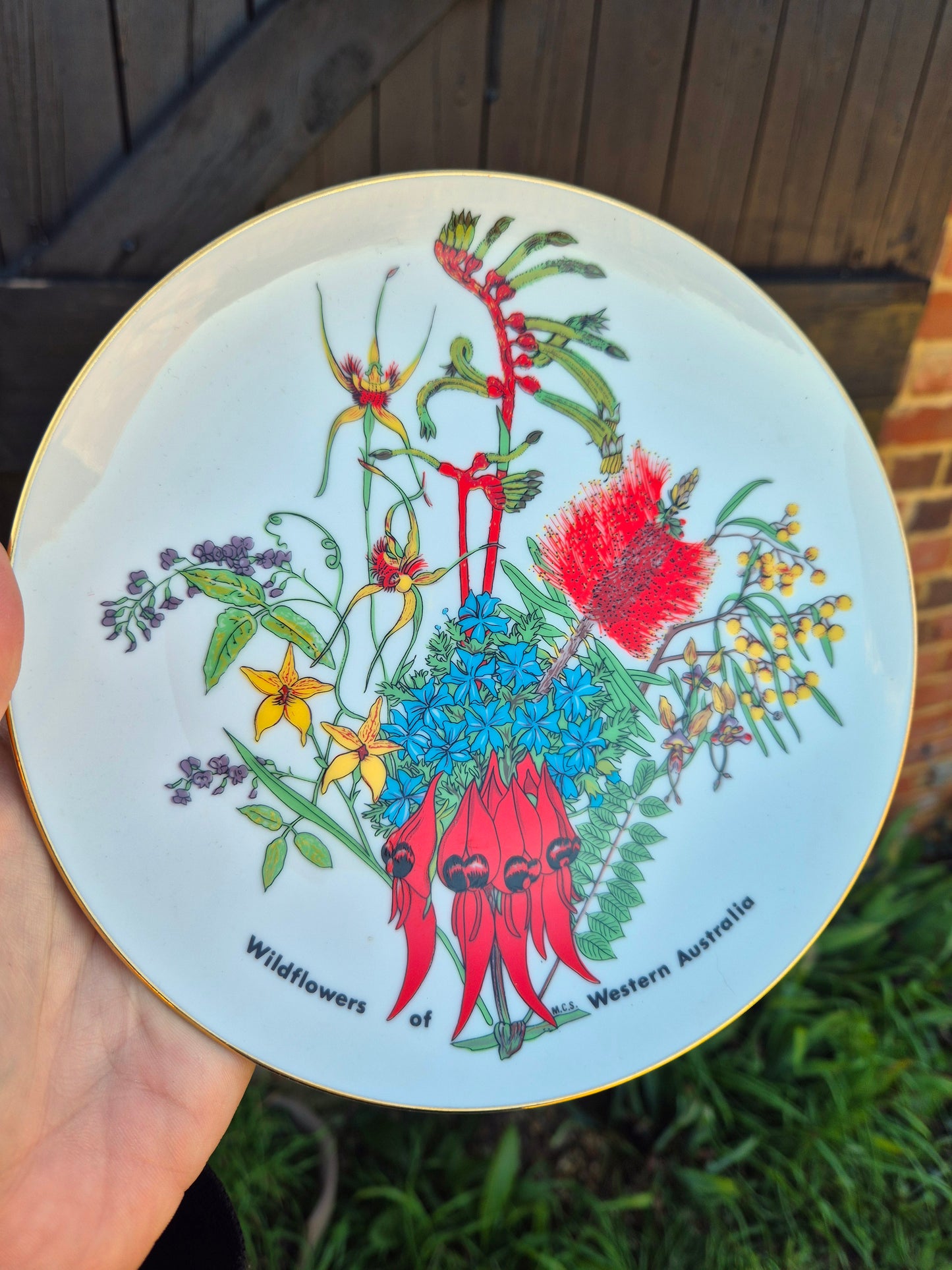 Western Australia floral plate
